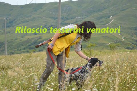 Locandina tesserini venatori